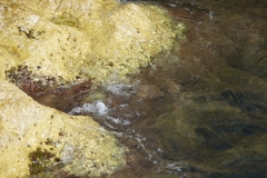 eau feu 2