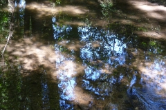 eau feu 5