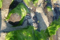 sols site 2