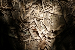 sols site 4