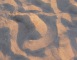 P1000359 45x35