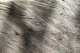 P1070234