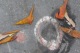 P1140643