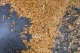 Sols Lyon 8 (13)