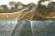 Sols Lyon 8 (6)